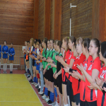 Турнир по волейболу среди команд девушек средних медицинских профессиональных учебных заведений Алтайского края и Республики Алтай