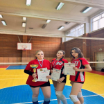 Первенство города Барнаула по волейболу