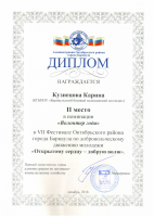 Диплом Кузнецова Карина 2 место волонтер года