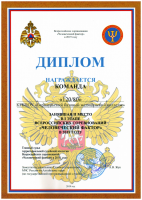 Диплом 2 место всероссийские соревнования Человеческий фактор